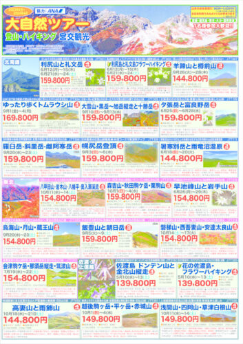 1pのサムネイル