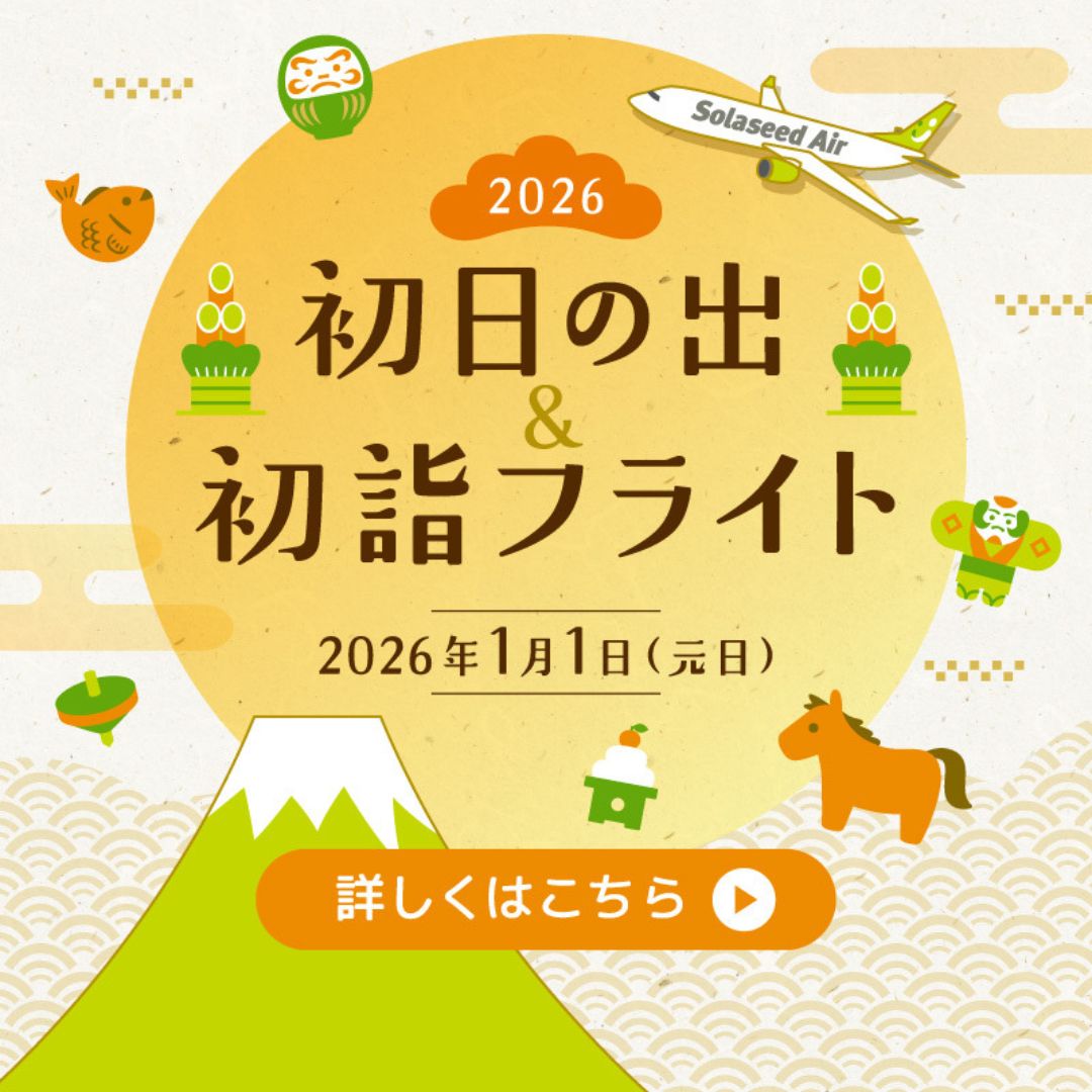 空の旅 ソラシドエア 初日の出＆初詣フライト 2026 | 宮交観光／宮崎（旅行